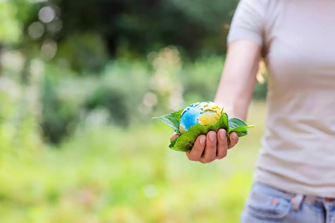 Sustainability and social responsibility at Vietnam Xinyuanjia